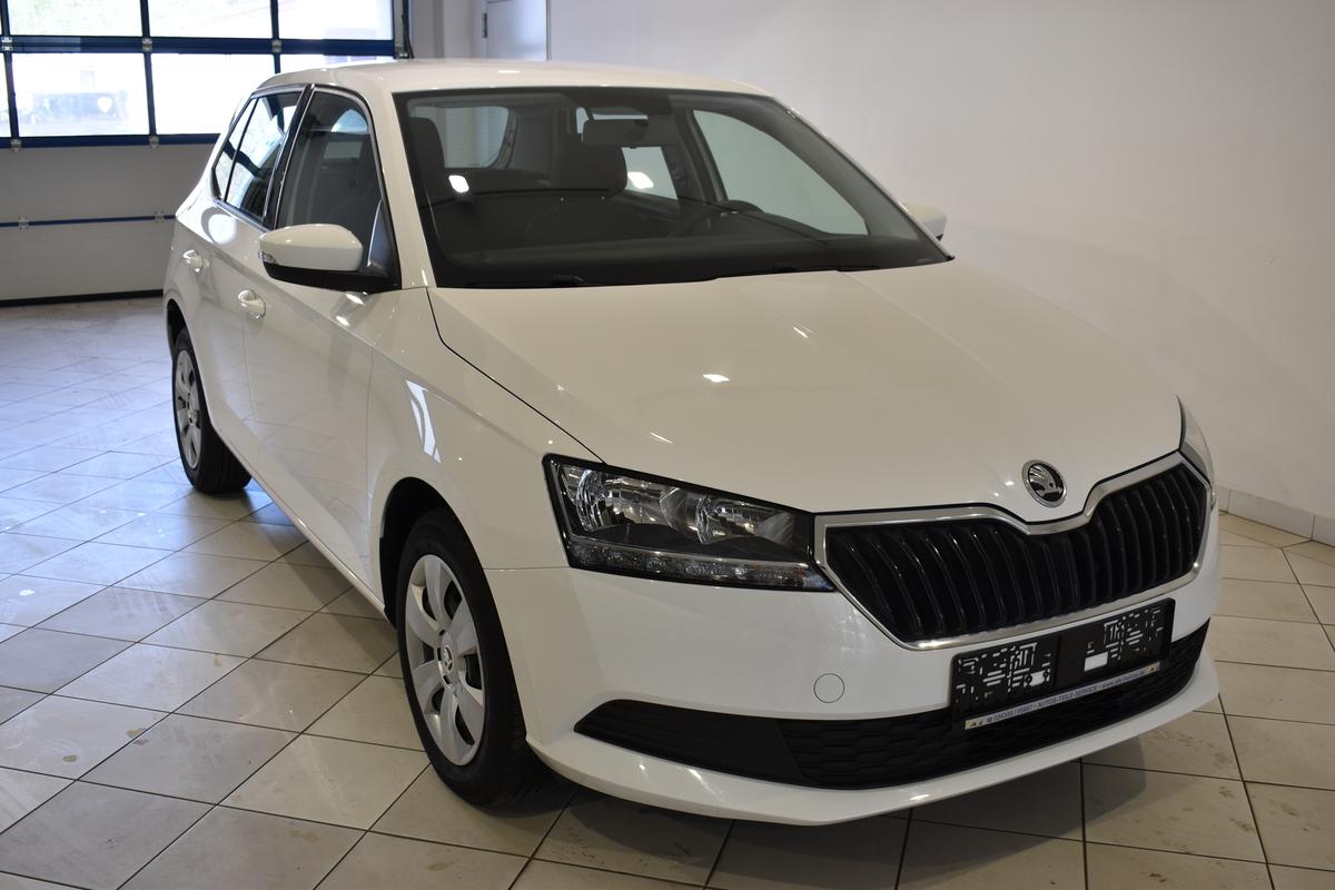 Skoda Fabia 1.0 MPI Allwetter 