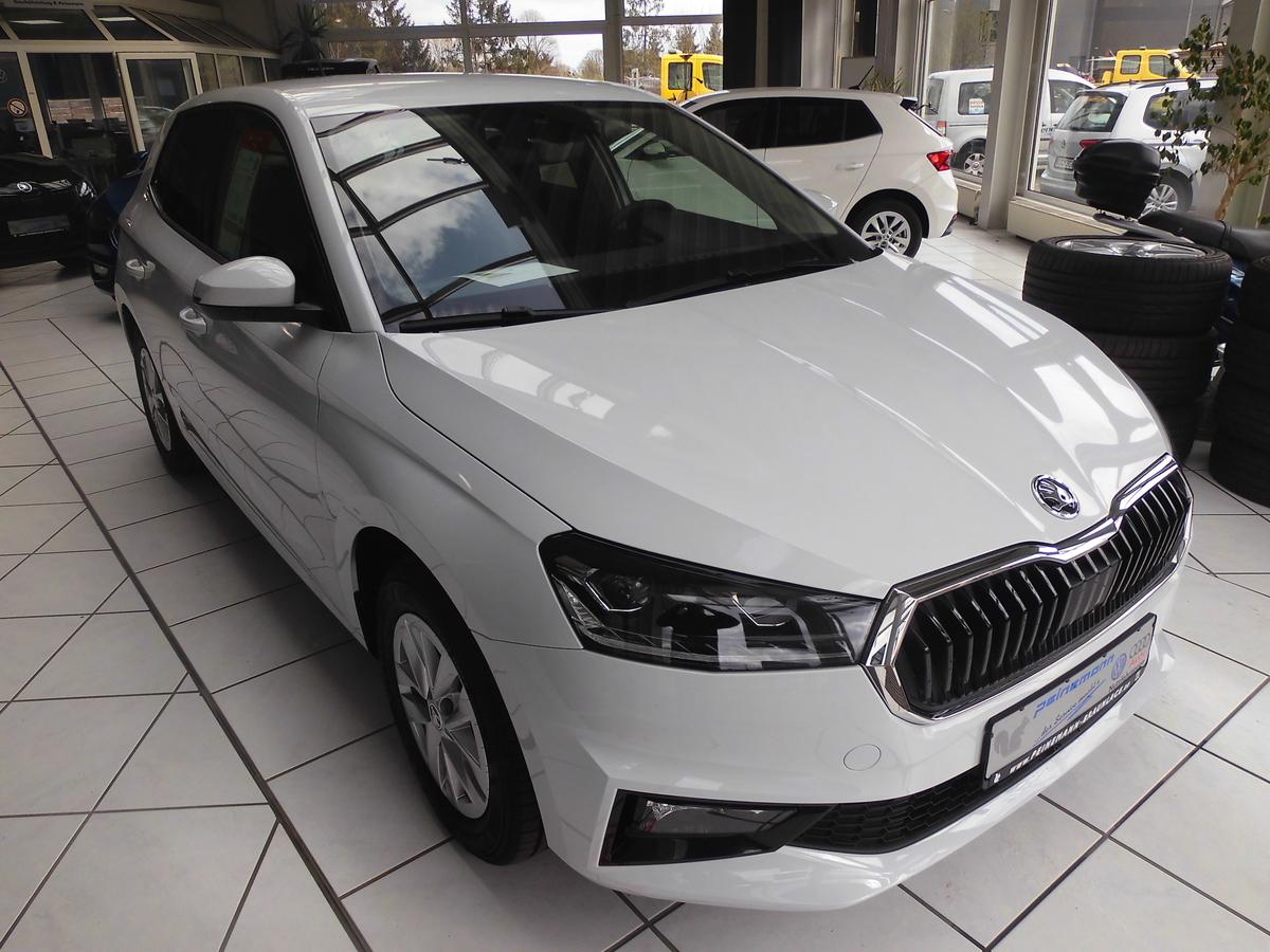 Skoda Fabia Style 1.0 TSI, LED Scheinw. Kessy, Tempomat. 