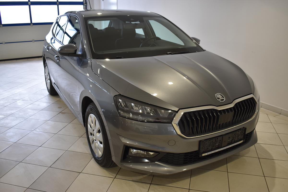 Skoda Fabia 1.0MPI Ambition APP GRA SHZ PDC Garantie 11/26 
