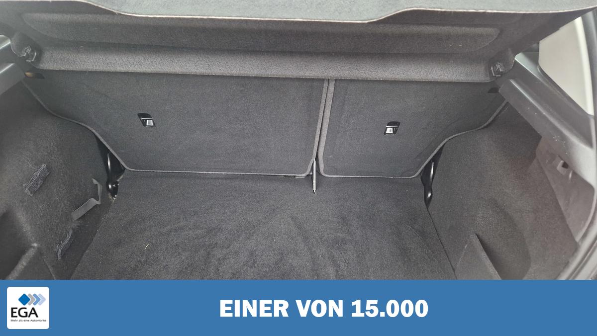 Ford Fiesta SYNC Edition, Klima, Tagfahrlicht, Einparkhilfe