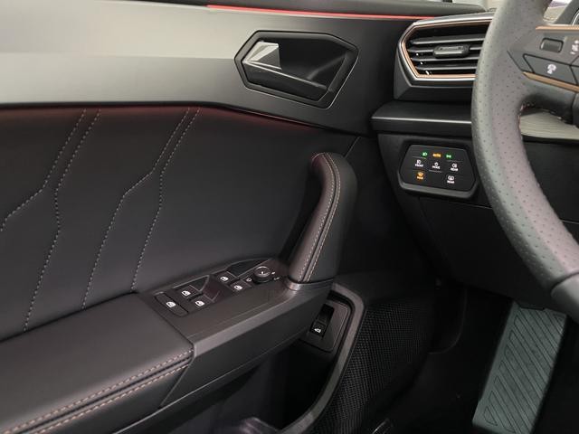 Cupra Formentor 2.0 TSI DSG 4Drive Kamera+AHK+GVL+N...