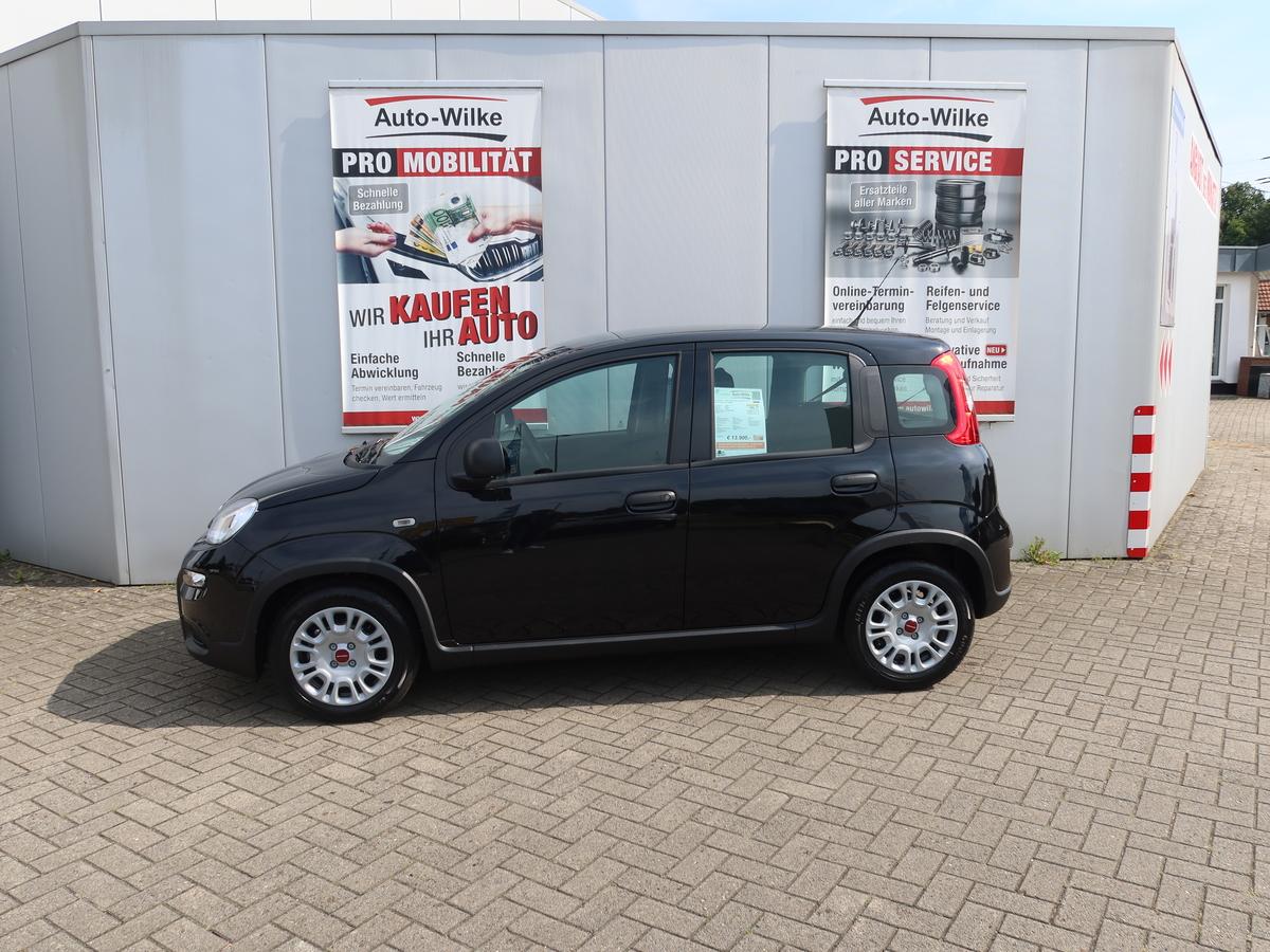 Fiat Panda 1.0 Mild Hybrid Base *KLIMA*ZV MIT FB*E-FENSTER VORNE