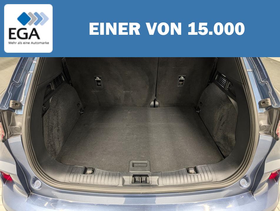 Ford Kuga ST-Line X LED/AHK/B&O/Kam/elektr.Heck/SHZ