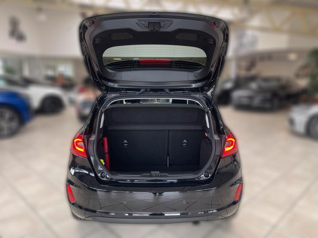 Ford Fiesta 1.0 Titanium *RFK*SHZ*CARPLAY*Winterpaket