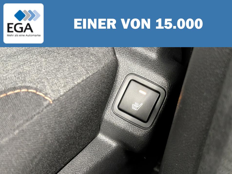 Citroën Berlingo Shine Navi/SHZ/PDC/Kam/Tempomat