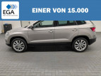Bild Skoda Karoq 
