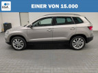 Bild Skoda Karoq 