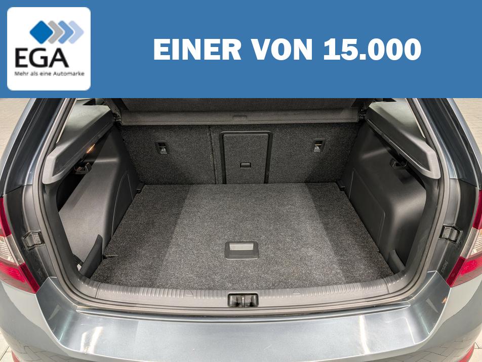 Skoda Rapid Spaceback Clever Bi-Xenon/AHK/Navi/Smart-Link/16-Zoll