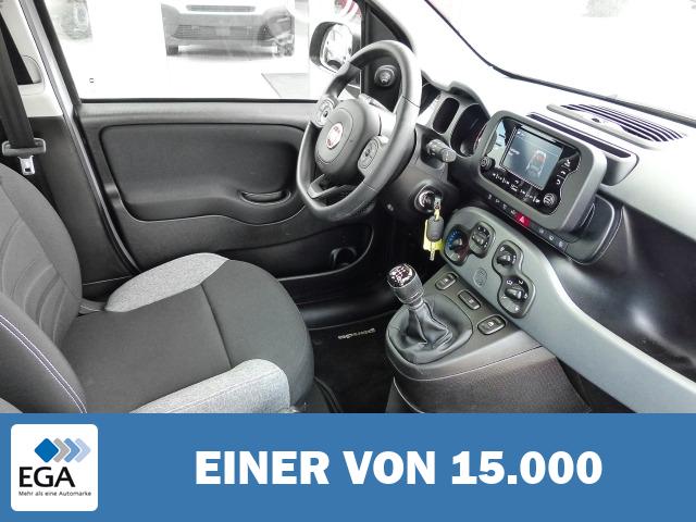 Fiat Panda 1.0 Mild Hybrid EU6d Klima, Freispreche DAB BT Multif.Lenkrad eFH RDC Radi