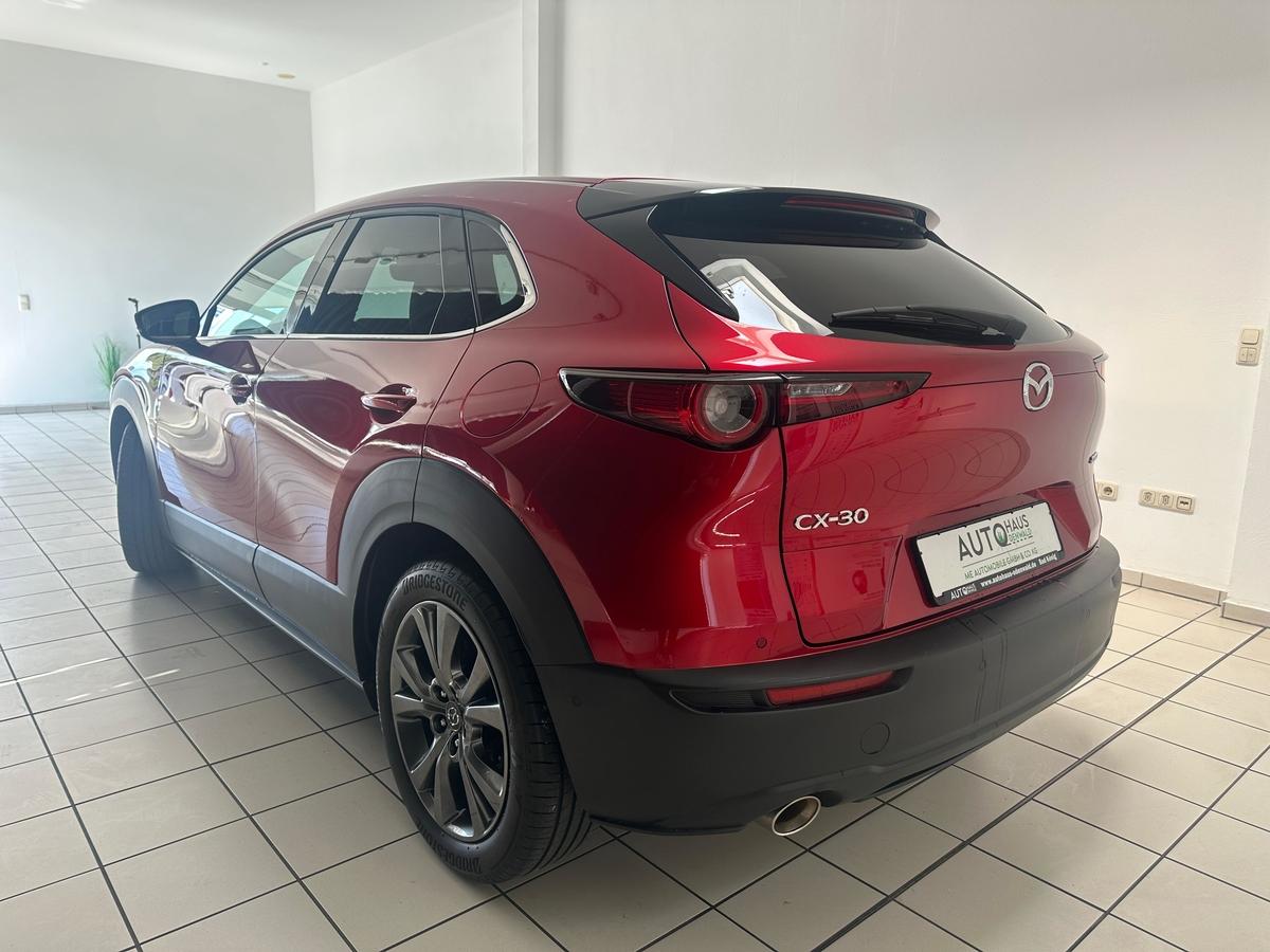 Mazda CX-30 BoseLaut*360Kamera*HeadUp*