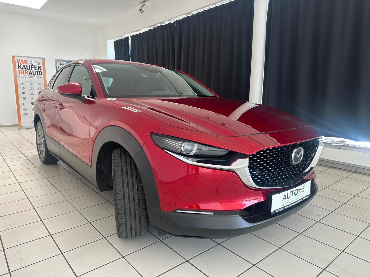 Mazda CX-30 BoseLaut*360Kamera*HeadUp*