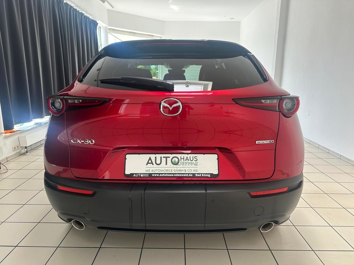 Mazda CX-30 BoseLaut*360Kamera*HeadUp*