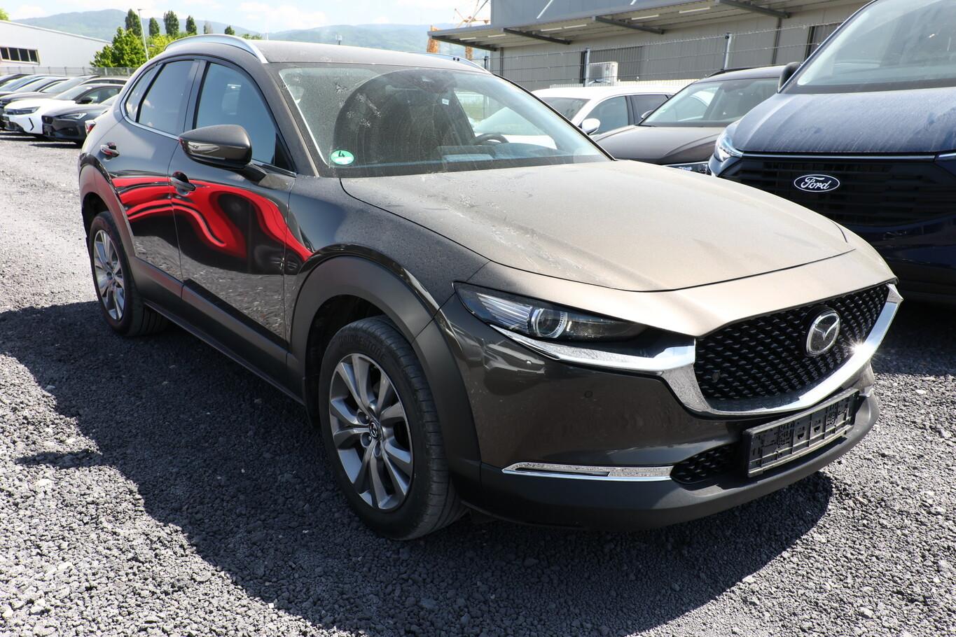 Mazda CX-30 1.8 SKYACTIV-D 116 Aut. Selection Matrix