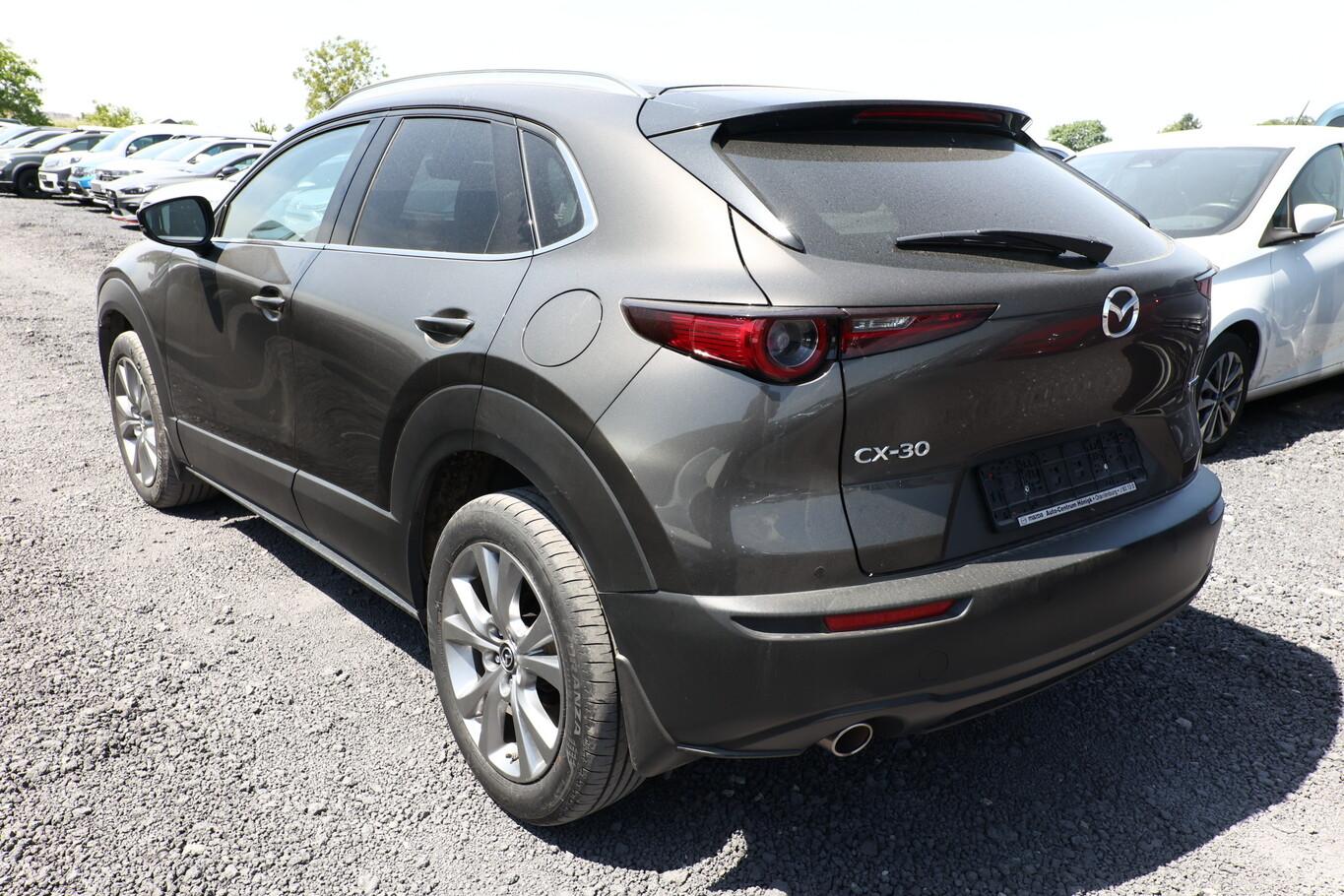 Mazda CX-30 1.8 SKYACTIV-D 116 Aut. Selection Matrix