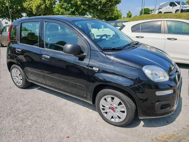 Fiat New Panda Easy 1.2 8V Klima-AW-ZV-el. FH-NSW