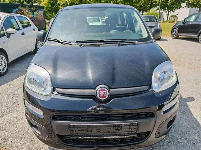 Fiat New Panda Easy 1.2 8V Klima-AW-ZV-el. FH-NSW