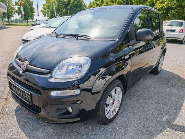 Fiat New Panda Easy 1.2 8V Klima-AW-ZV-el. FH-NSW