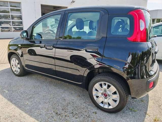 Fiat New Panda Easy 1.2 8V Klima-AW-ZV-el. FH-NSW