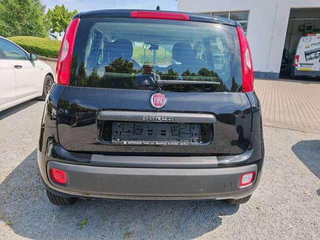Fiat New Panda Easy 1.2 8V Klima-AW-ZV-el. FH-NSW