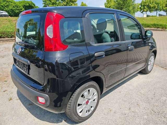 Fiat New Panda Easy 1.2 8V Klima-AW-ZV-el. FH-NSW
