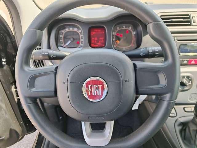 Fiat New Panda Easy 1.2 8V Klima-AW-ZV-el. FH-NSW