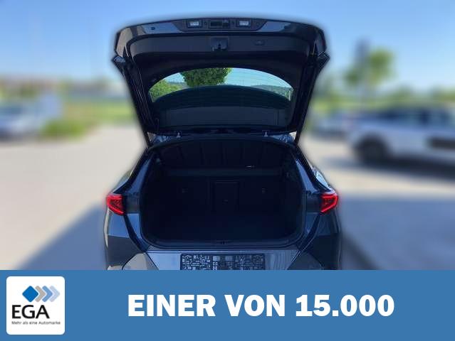 Cupra Formentor 1.4 TSI DSG eHybrid PAKET-XL+EL.HECK+N