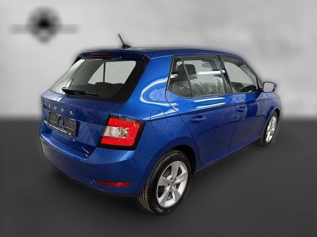 Skoda Fabia 1.0 TSI Cool Plus Klima Sitzh. PDC DAB ALU