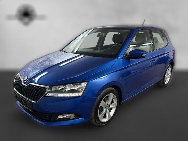 Skoda Fabia 1.0 TSI Cool Plus Klima Sitzh. PDC DAB ALU