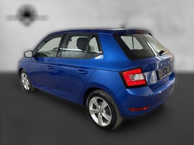 Skoda Fabia 1.0 TSI Cool Plus Klima Sitzh. PDC DAB ALU