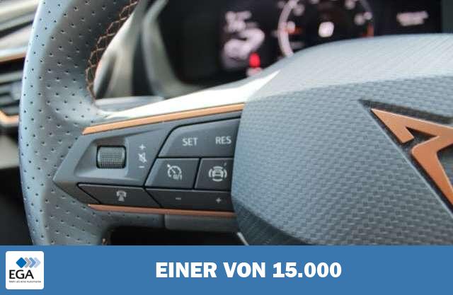 Cupra Formentor 1.5 TSI LED Navi ACC AHK Winterpaket Digitales Coc