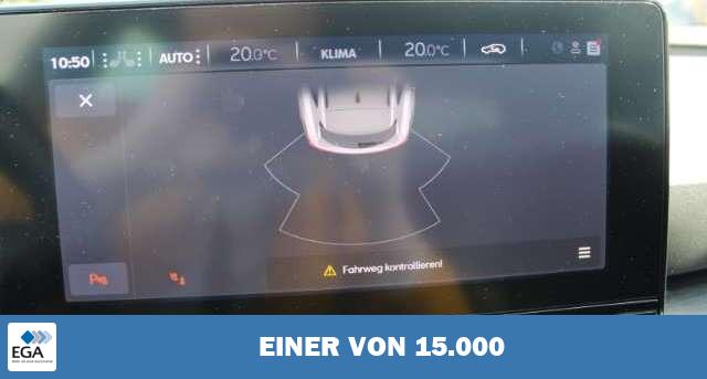 Cupra Formentor 1.5 TSI LED Navi ACC AHK Winterpaket Digitales Coc