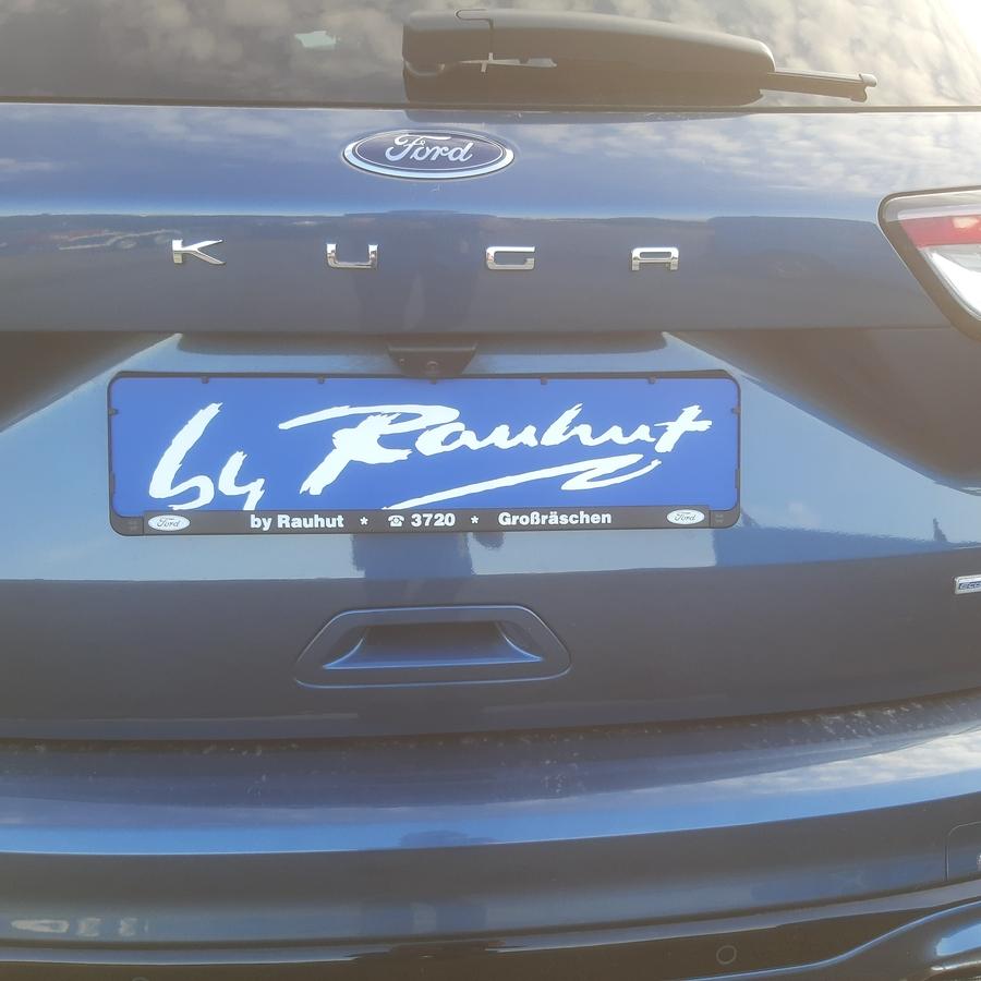 Ford Kuga 2.0 EcoBlue Hybrid ST-Line X Start/Stopp (EUR 