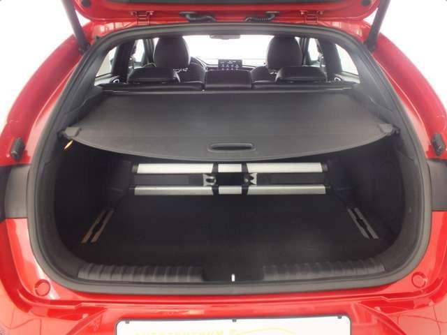 Kia pro_cee'd / ProCeed GT-Line, Panoramadach, Sitheizung hinten, Memory