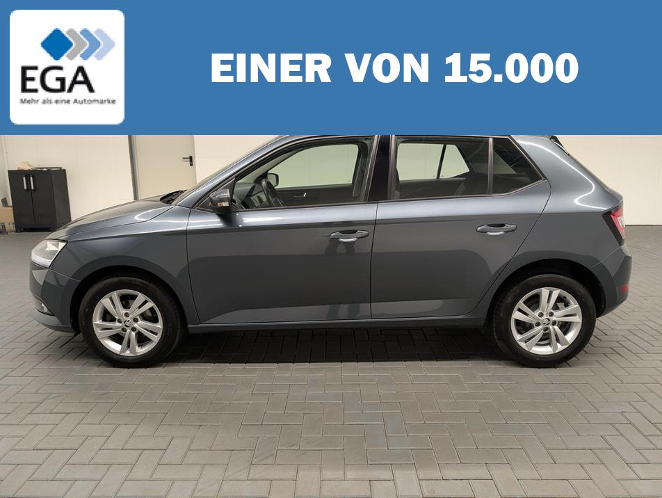 Skoda Fabia CarPlay/Kamera/PDC/15-Zoll/Limiter