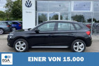 Bild Skoda Kamiq 1.0 TSI DSG Style 17
