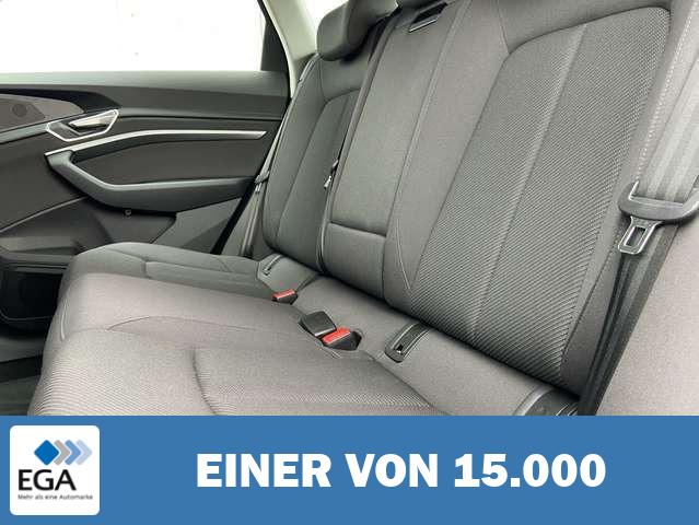 Audi e-tron 50 quattro 19