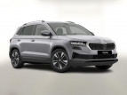 Bild Skoda Karoq DSG Selec ACC Kam SideA SHZv/h Kessy SunS