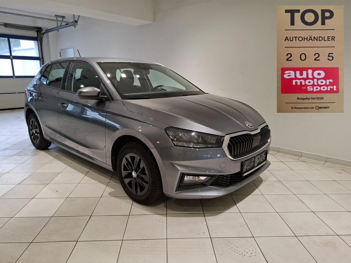 Skoda Fabia 1.0TSI 5J Garantie LED APP AHK