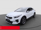 Bild Kia XCeed 1.5 T-GDI NAVI RFK PDC