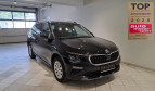 Bild Skoda Kamiq DSG Top Selection Parklenk Matrix