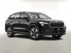Bild Skoda Kodiaq 4x4 Selec AHK Pano 7-S Matrix Nav Kessy