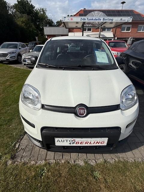 Fiat Panda 1.0 Mild Hybrid Base (Euro 6d) 