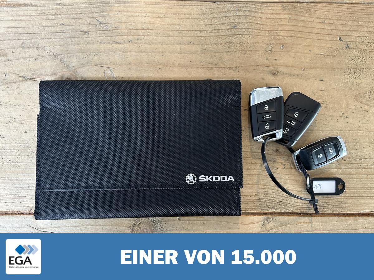 Skoda Kodiaq 2.0 TDI Style LED ACC Virtual 7Sitze 