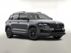 Bild Skoda Karoq DSG Sportl Matrix Nav 360 Canton ACC Kessy