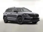 Bild Skoda Karoq DSG Sportl AHK Matrix Nav 360 Canton ACC