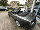 Bild Ford Mustang 5,0 GT Leder