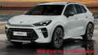 Bild Cupra Terramar 2.0TSI VZ DSG 4Drive Alufelgen 19 Zoll AHK-VORBEREITUNG el. Heckklappe 