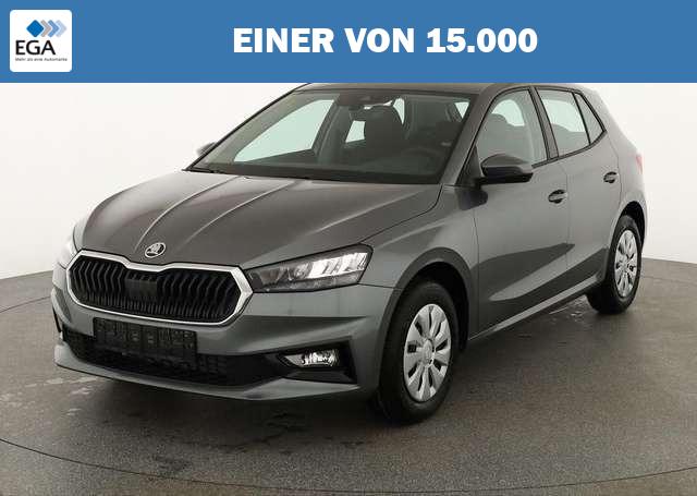 Skoda Fabia 1.0 TSI Selection, AHK, Tempomat, Ladeboden, Park,