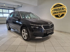 Bild Skoda Kamiq 1.0 TSI DSG STYLE ACC AHZV LED 