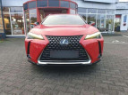 Bild Lexus UX 250h (E-FOUR) Luxury Line